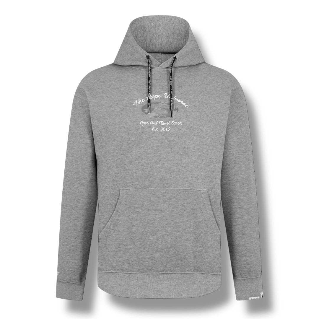 A BATHING APE AAPE UNIVERSE OTTH HOODIE GREY